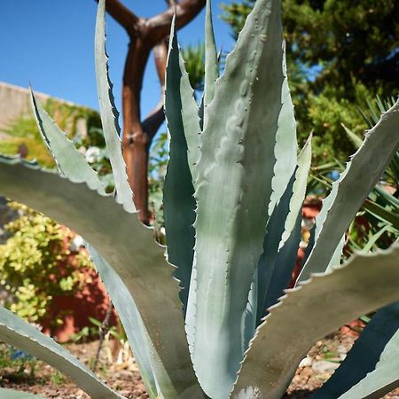 Apartmán Jardin De Palme La Palme Exteriér fotografie