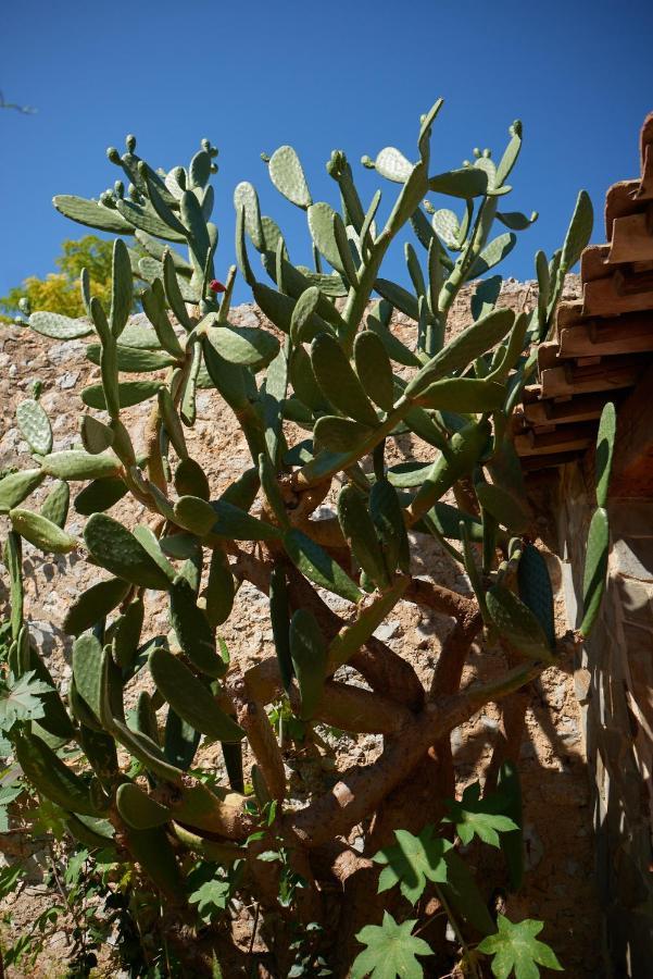 Apartmán Jardin De Palme La Palme Exteriér fotografie