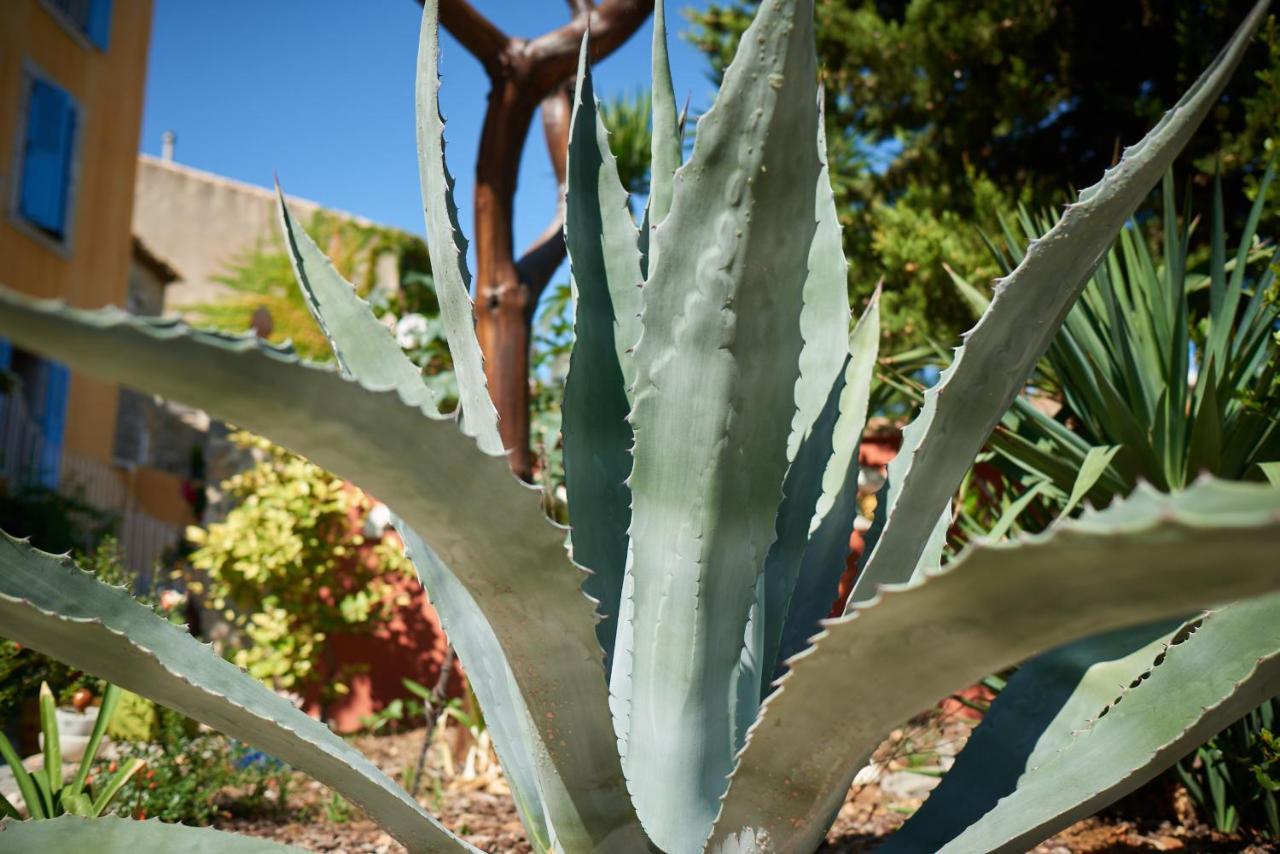 Apartmán Jardin De Palme La Palme Exteriér fotografie