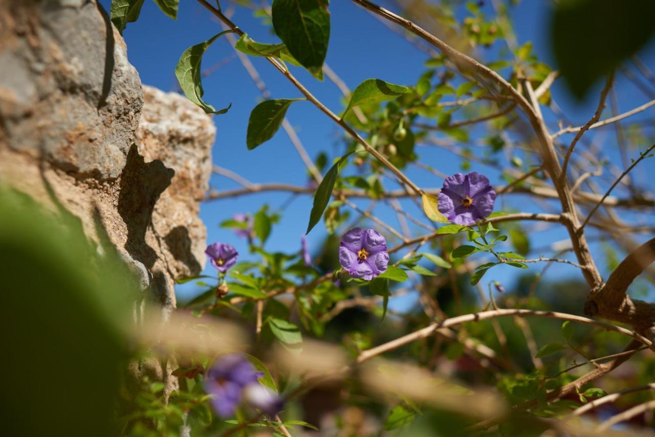 Apartmán Jardin De Palme La Palme Exteriér fotografie